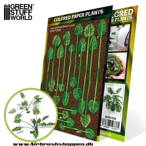 Colored Paper Plants - Monstera -  GSW