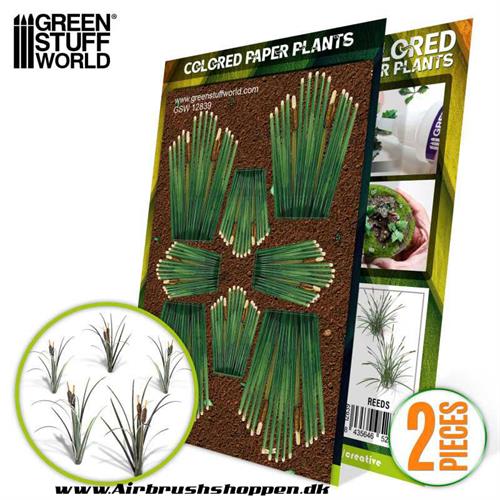 Colored Paper Plants - Reeds / siv - GSW